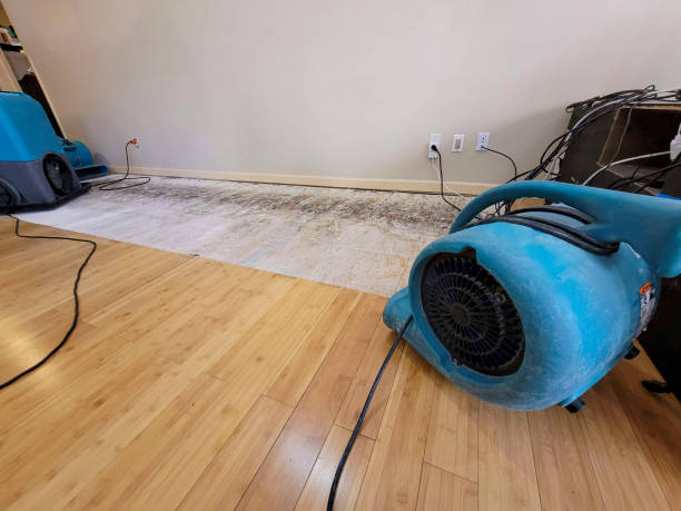 Professional Sewage Cleanup technician working in Etna, PA